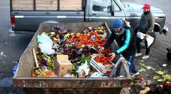 Desperdício Alimentar Global: Uma Crise que Não Podemos Mais Ignorar